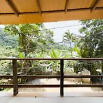 Pe De Cafe Itamambuca
